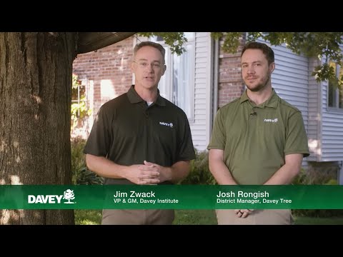 The Davey Tree Expert Company - Englewood, CO 80110 - (303)515-7493 | ShowMeLocal.com