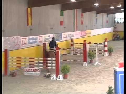 Hasting Rock 8 anni italiano    baloubet x cartago