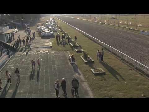 CARRERAS SINT COLONIA 12/7/25 - EN VIVO -  URUGUAY