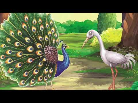 The Peacock & The Crane | Aesop's Fables | Storytime