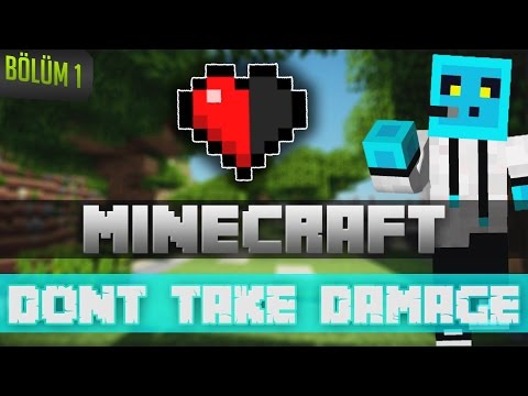 Minecraft - Dont Take Damage