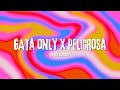 GATA ONLY X PELIGROSA FloyyMenor Jr Stit Mashup