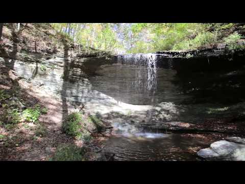 Scenic Drives Nashville: Natchez Trace Parkway