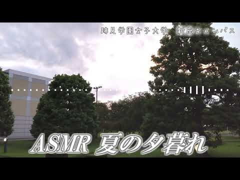 現代文化表現学科 【跡見女子大】 暑苦しいゼミの声！! ASMR 環境音「夏の夕暮れ」：跡見学園女子大学新座キャンパス