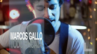 Marcos Gallo - Todo encaja