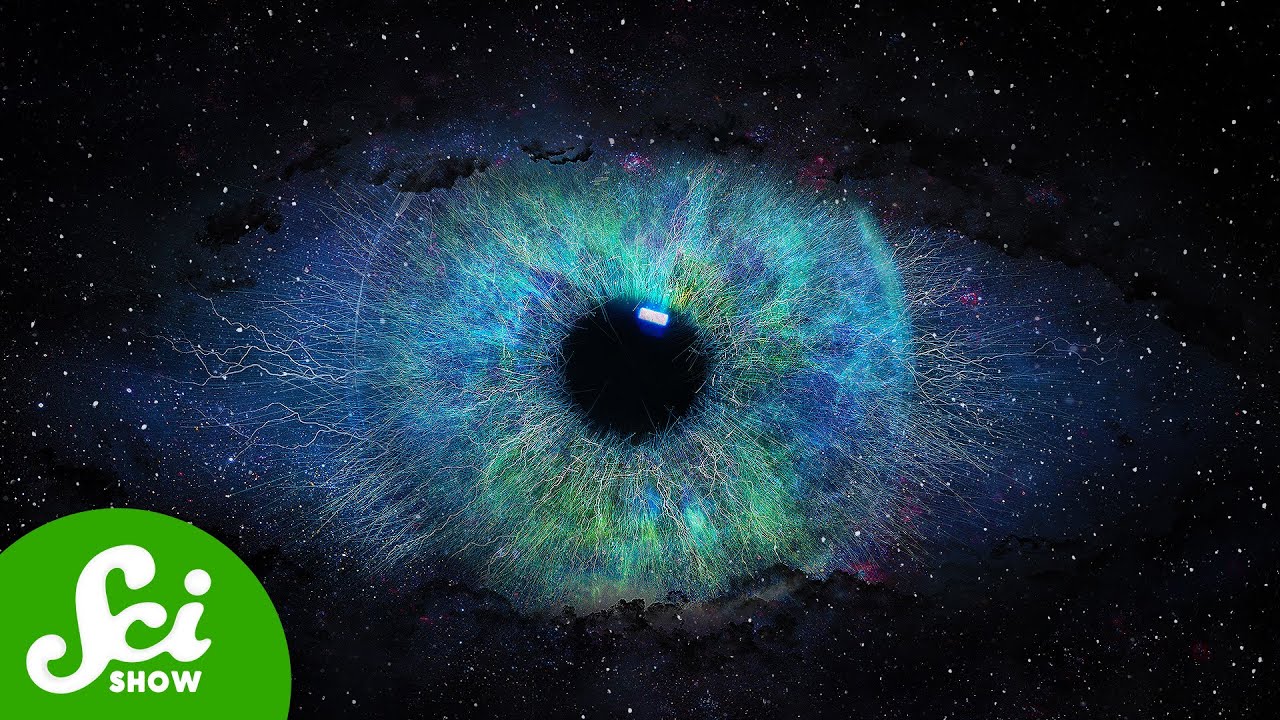 The Universe Has a Memory