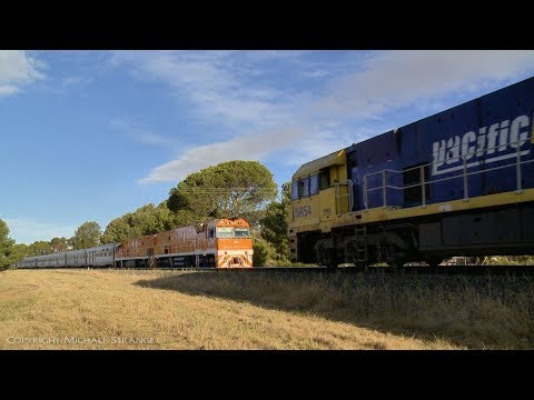 1PM6 Freight Train Crosses 2TA8 "Great Southern" Passenger Train - PoathTV Australian Railways