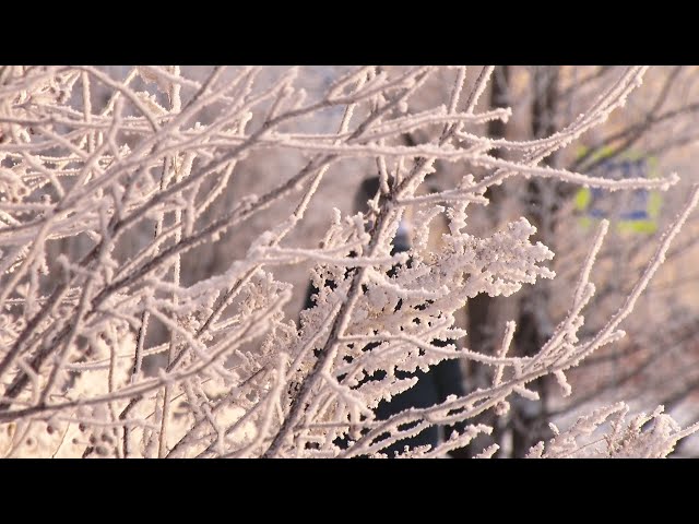 В Приангарье резко похолодает