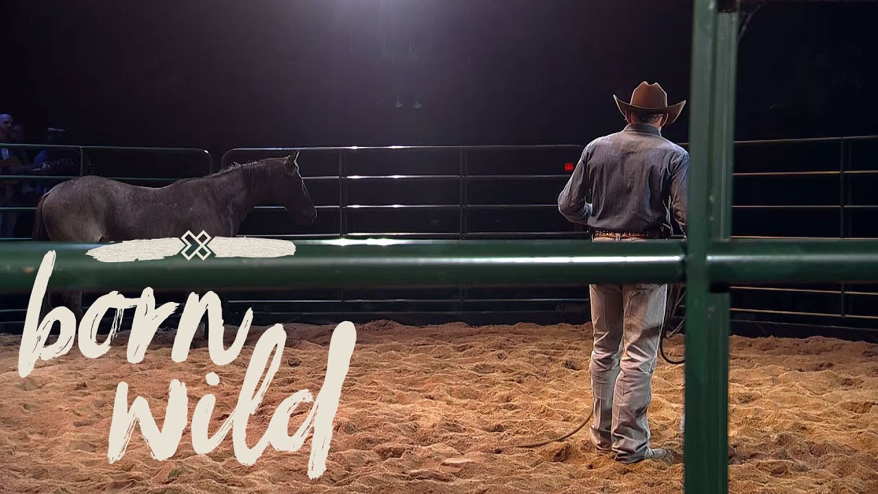 Training A Wild Horse In An Hour | 5pm