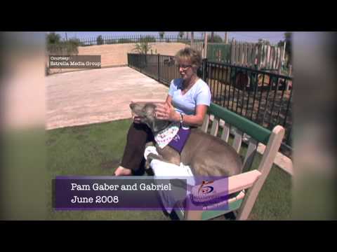 Gabriel's Angels History