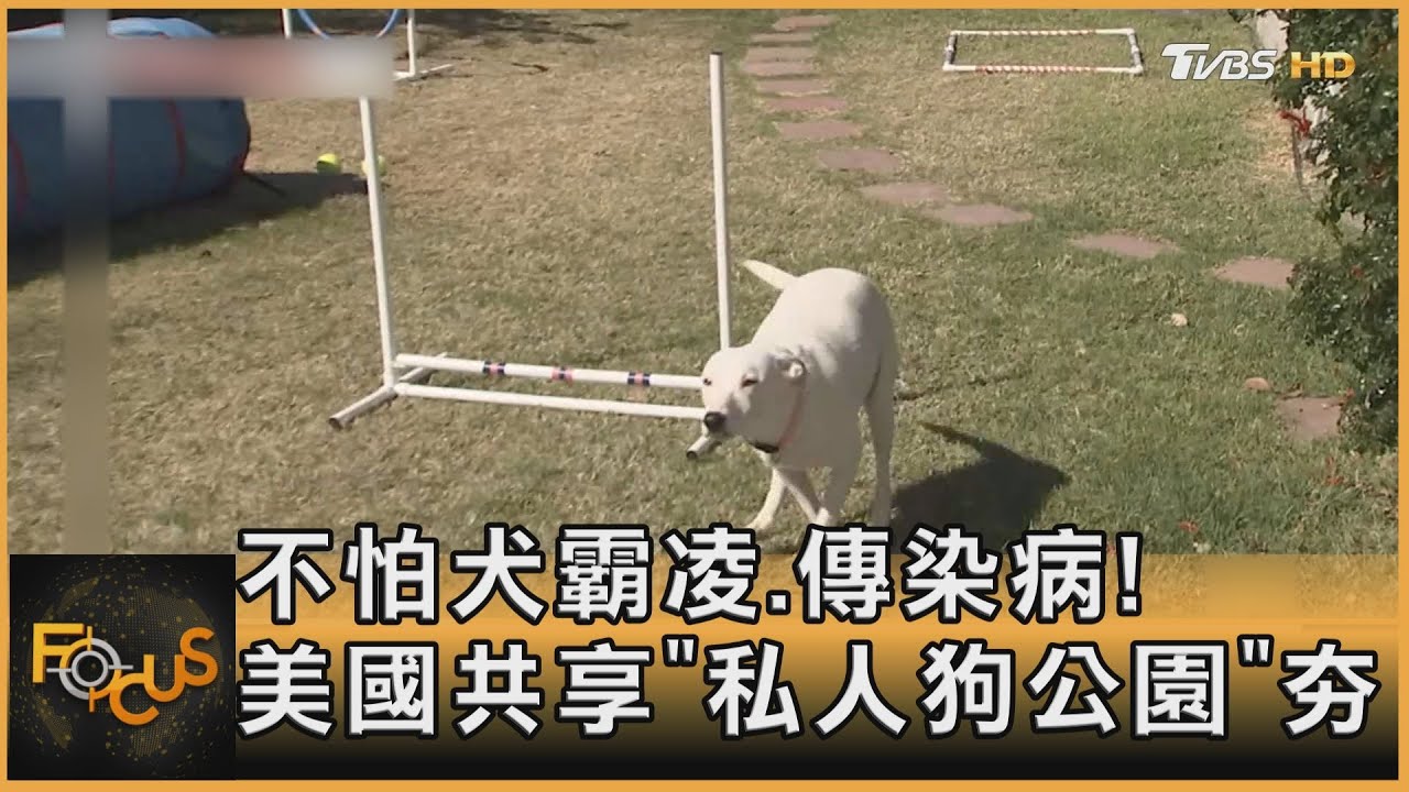 犬驗尿測癌！美最新研究　共享私人狗公園夯