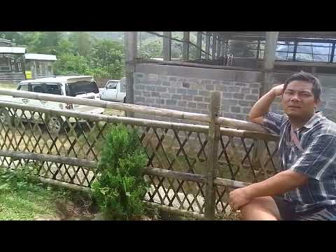 Gelnal chawang golseh 14-9-2022