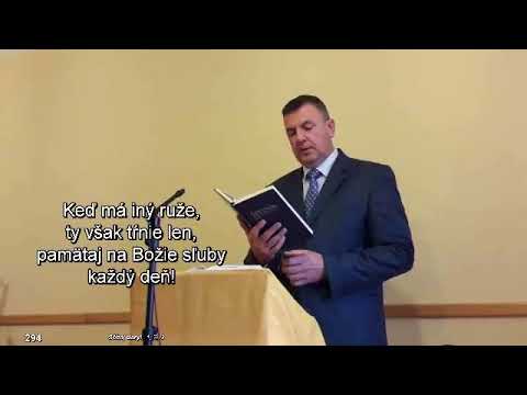 Štefan Pálkovács: Pôvod Šalamúnovej múdrosti