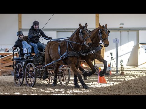 Dvojspřeží (1. kolo), Zimní jezdecký pohár 2022, Slatiňany 12. 2. 2022