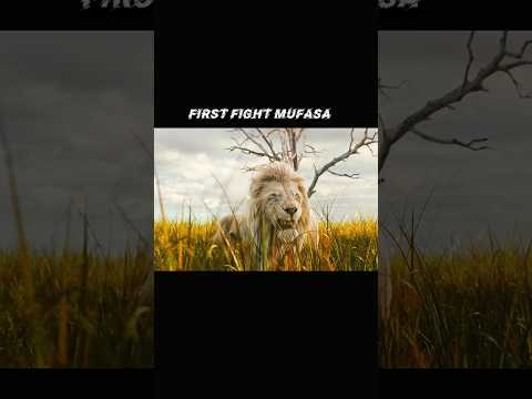 Mufasa first fight  with 2 white lion incredible fight scene #mufasathelionking #movieshort