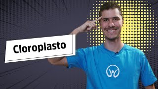 Cloroplasto - Brasil Escola