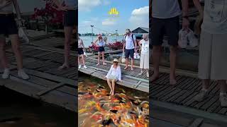 🌈 𝙎𝙥𝙚𝙘𝙞𝙖𝙡 𝙀𝙭𝙥𝙚𝙧𝙞𝙚𝙣𝙘𝙚 𝙛𝙤𝙧 𝙋𝙧𝙞𝙫𝙖𝙩𝙚 𝙏𝙤𝙪𝙧𝙨 - 𝐌𝐞𝐤𝐨𝐧𝐠 𝐃𝐞𝐥𝐭𝐚 𝟐-𝐃𝐚𝐲 𝟏-𝐍𝐢𝐠𝐡𝐭