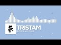 Before We Fade by Tristam