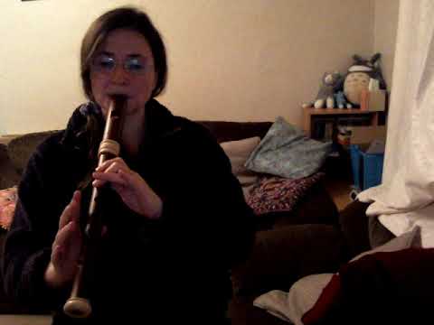 Mollenhauer Dream Edition Alto Recorder 2023 - Plum wood with Maple image 9