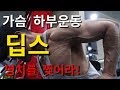 딥스(가슴하부운동)명치를 찢어야 됩니다