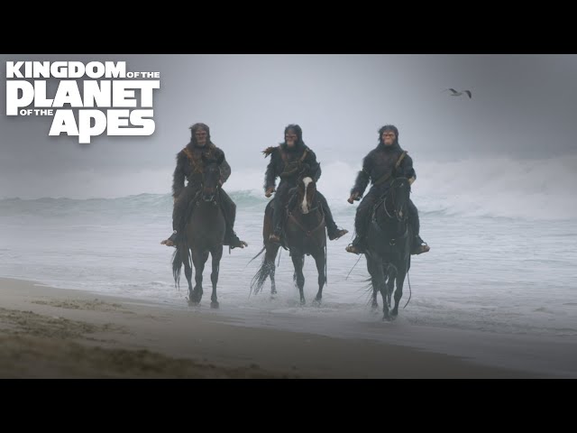 Apes On Horseback