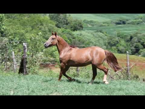 Lote 24 Las Misiones Capitão