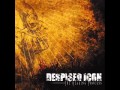 Despised Icon   Immaculate