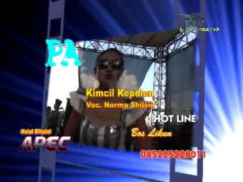 NEW PANTURA LIVE PENGKOL-KIMCIL KPOLEN NORMA SILVIA APEC AREA PENGKOL COMUNITY 2016