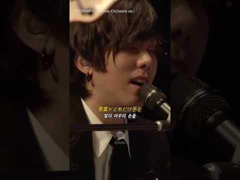 미츠하랑 타키 잘지내지...?? ㅠㅠ 너의이름은 OST RADWIMPS - Sparkle 오케스트라 버전!! #웁스 #웁스뮤직 #oops #oopsmusic