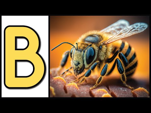 Learn About Bugs from A to Z for Kids | Fun and Educational Insect Facts