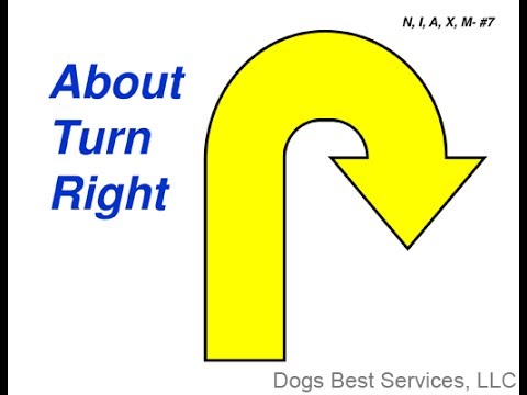 AKC Rally Novice Sign #7 : About Turn - Right!
