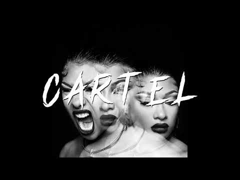 Megan Thee Stallion Type Beat 2024 | BIA x Flo Milli Type Beat 2024 - "CARTEL"