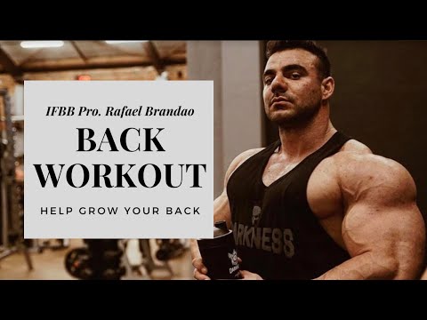 Rafael Brandao | Back Workout