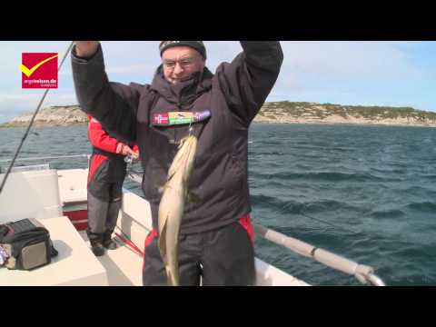 3. Lengfestival 2011 in Nautnes - 2. Tag: Der erste große Leng