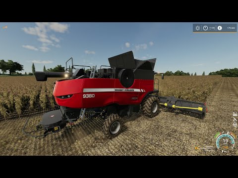 Thornton Farm * Episode 35 * Massey Ferguson Delta 9380 Final Harvest - Sunflowers * FS 19