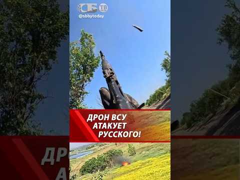 Домой лети, с..! Русский ОДИН против дрона ВСУ! Собьёт?