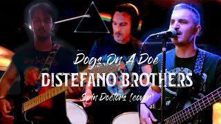 Distefano Brothers - Dogs On A Doe (Spin Doctors Cover)