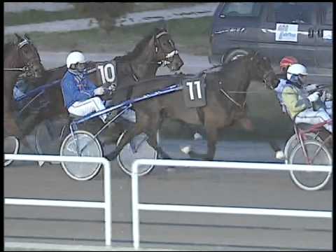 Trotto 08/02/2015 - 6° corsa