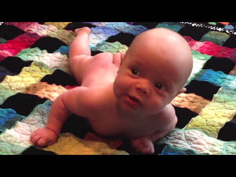 Dream Weaver ~ The  Delivery