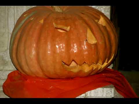 The Ascoli Piceno Story