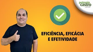 Eficiência, Eficácia e Efetividade - Teoria e Exercícios - Petronio Castro
