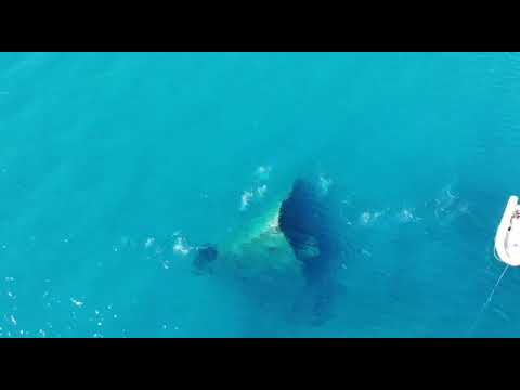 Relitto a Guardavalle Marina