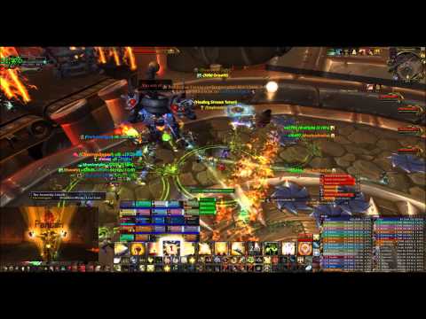 Adrenaline Vs Siegecrafter Blackfuse 25 Normal - Holy Pally PoV