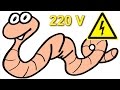 Добыча червей на 220 вольт 