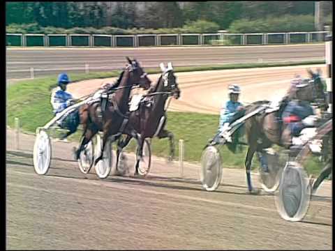 Trotto 03/04/2016 - 3° Corsa