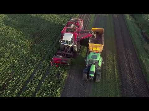 Loonbedrijf Roodenburg - Bietenrooien