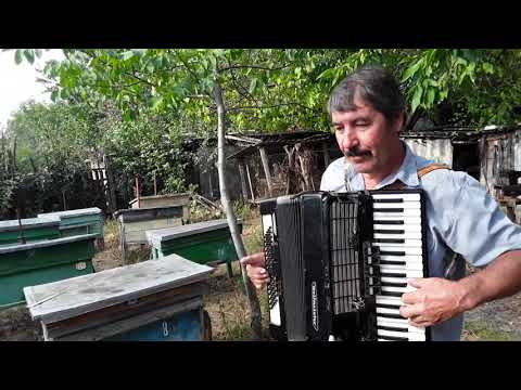 Mihail Mardari, Casa de cultură Ghiliceni (Teleneşti). Înregistrare Gheorghe Şova