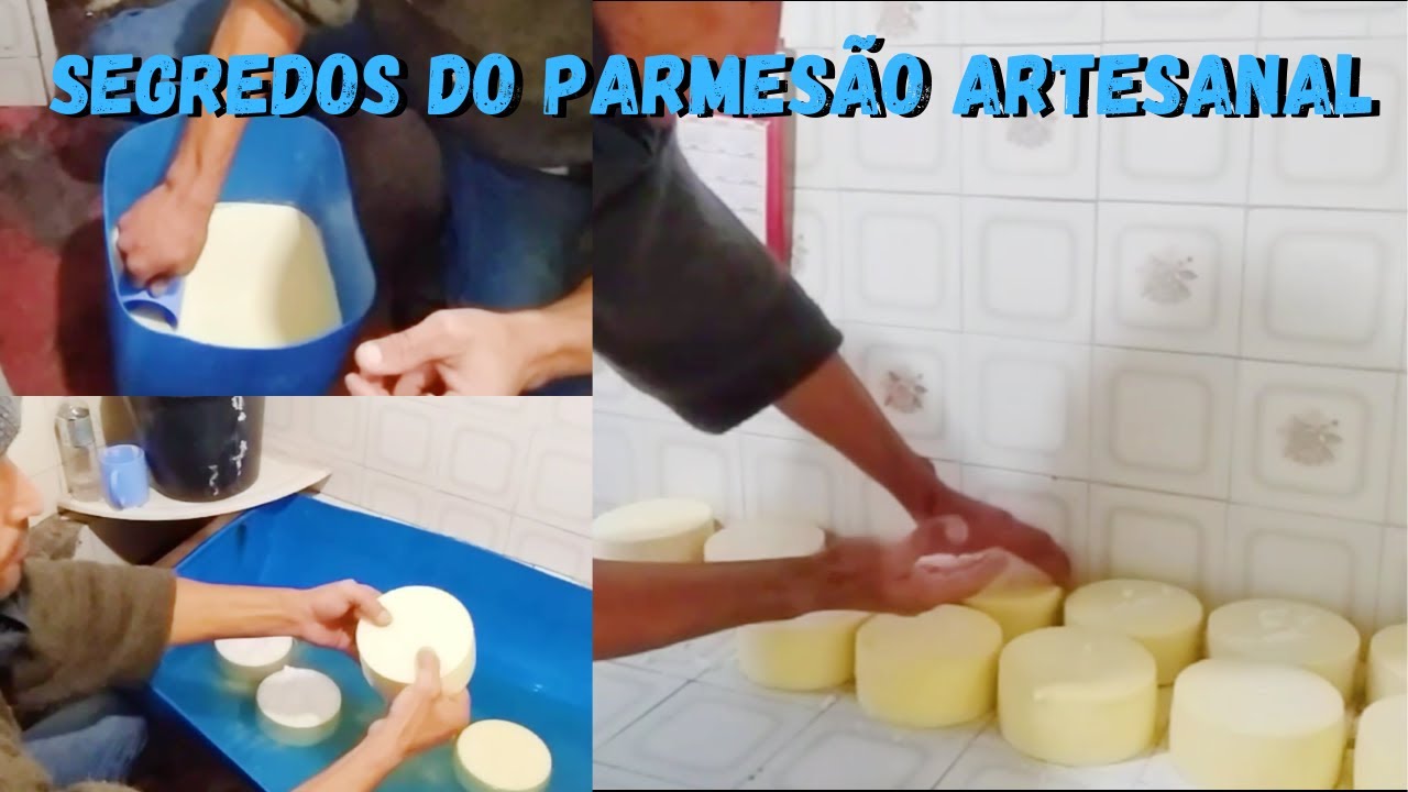 FERMENTO LÀCTEO, SALMOURA e o que é ''SALGA SECA''/ QUEIJO PARMESÃO ARTESANAL / pecuária leiteira