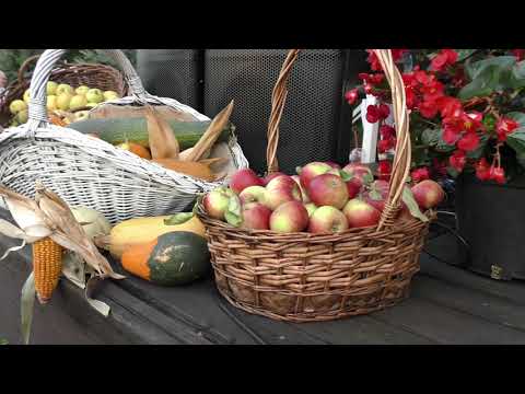 Dożynki 2018 Rudziniec