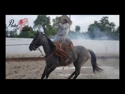 PIALADERO DE  19° ANIVERARIO LIENZO CHARRO LA GUADALUPANA (DON TIMOTEO CERVANTES) 26.08.2017